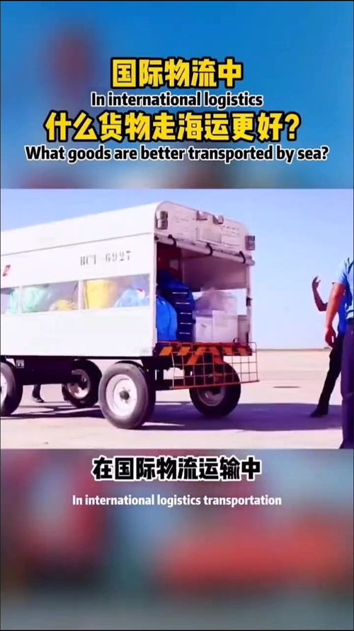 國際物流中適宜海運的貨物類型及公路國際貨物運輸代理的重要性